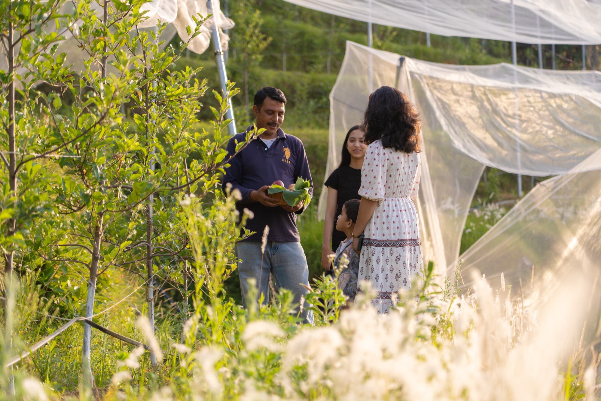 Farm-fresh orchard experience